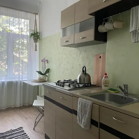 Sunny Studio Apt Next To Park Near Center Apartment *