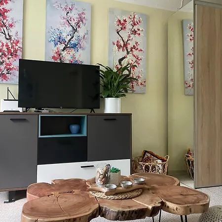 Sunny 1 Bedroom In Center Next To Park * Riga