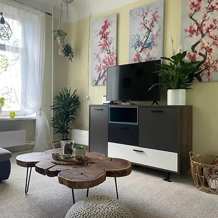 Apartment Sunny 1 Bedroom In Center Next To Park