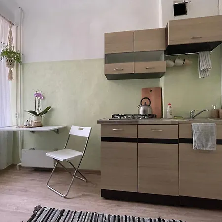 Sunny Studio Apt Next To Park Near Center Apartment