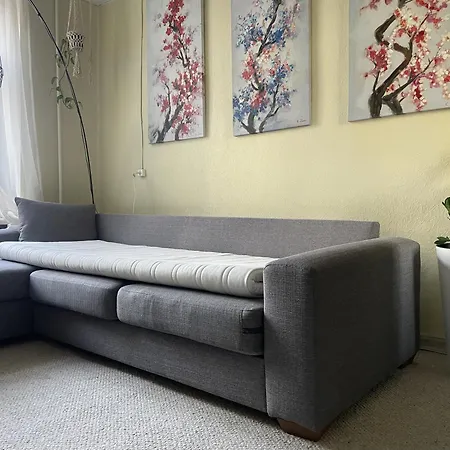 Apartment Sunny Studio Apt Next To Park Near Center *