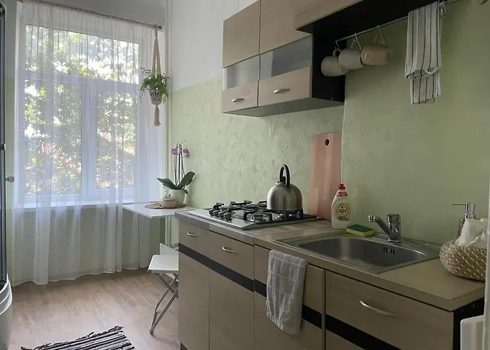 Sunny 1 Bedroom In Center Next To Park Apartment *