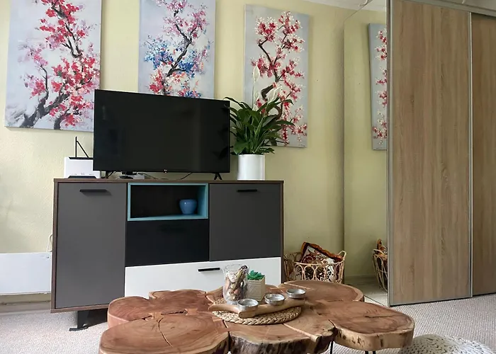 Sunny 1 Bedroom In Center Next To Park * Riga