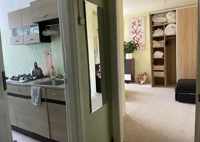 Sunny 1 Bedroom In Center Next To Park *